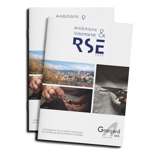 brochure RSE